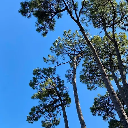 Appartement La De Leontine