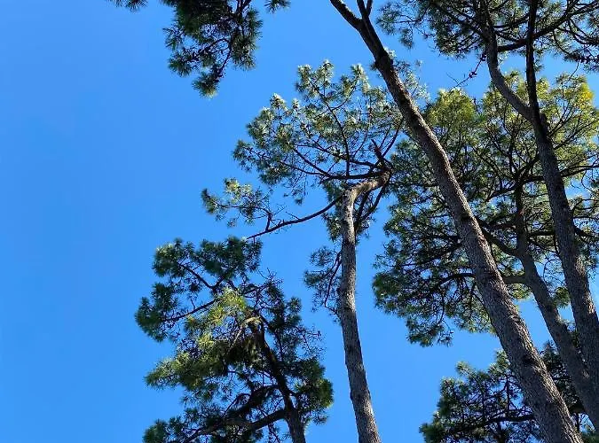 Apartment La De Leontine